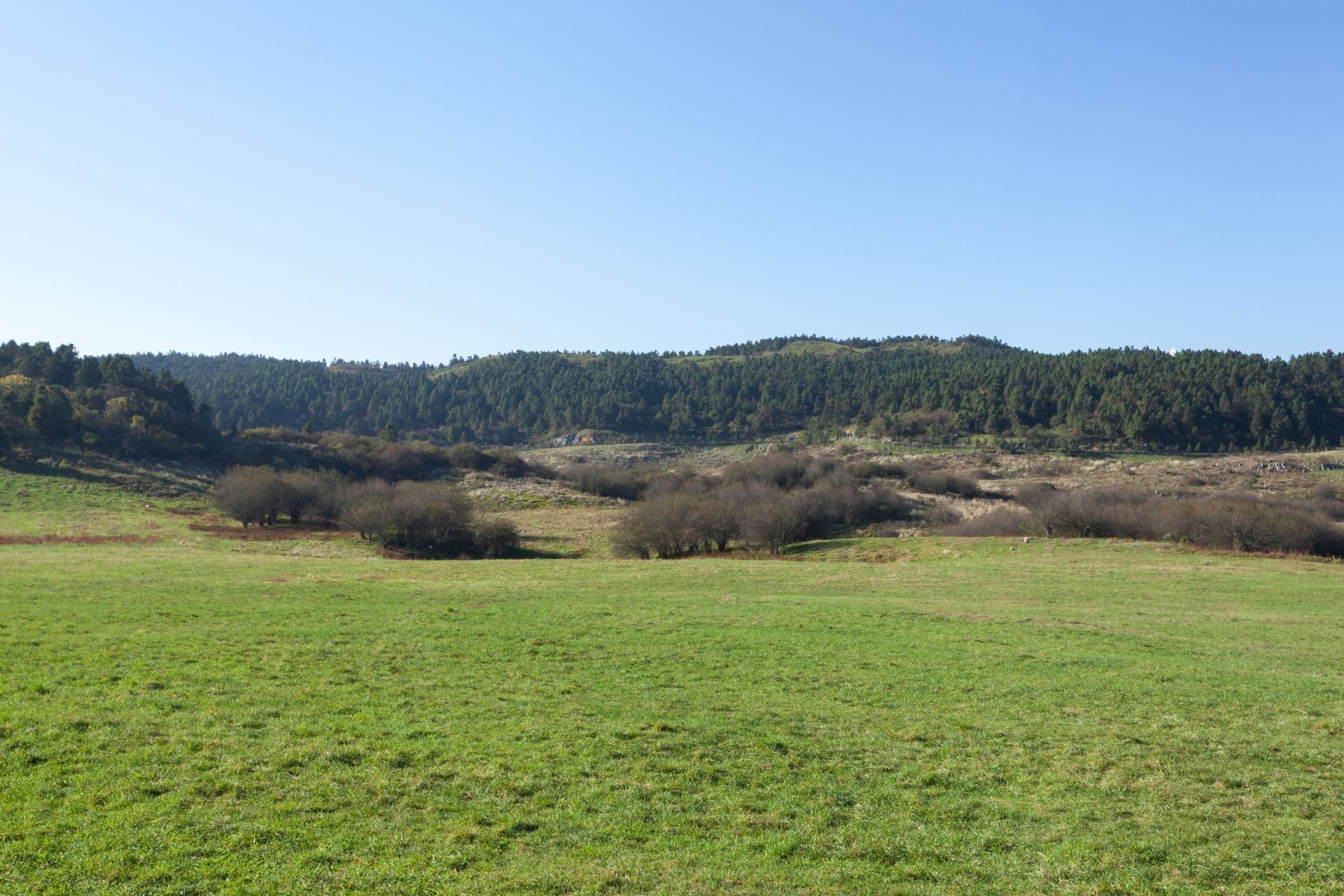 Chongqing Fairy mountain Grassland, China